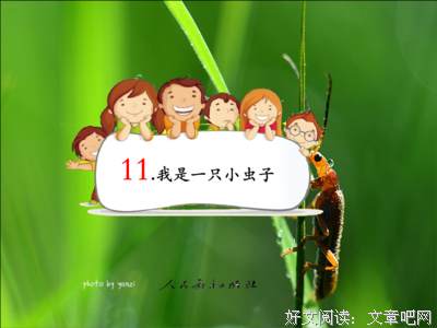 最经典的《苍耳》经典的句子大全