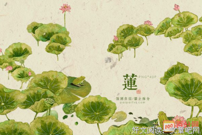 最新的《莲花》经典语录大全