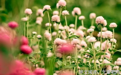 《蜗居》经典语句