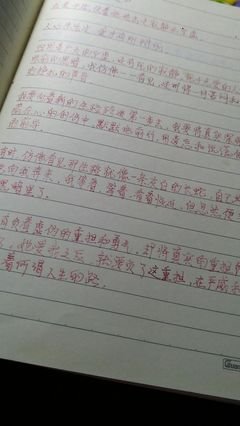 最全的《不再见》好段摘抄