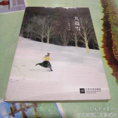 最经典的《九篇雪》经典语句