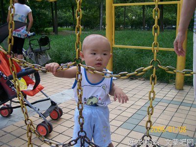最全的《小木木》经典的句子