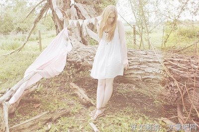 关于夏蝉鸣的语句