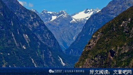 关于米尔的语句