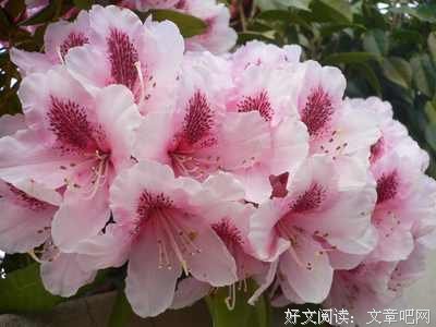 如何走进双子座的心？