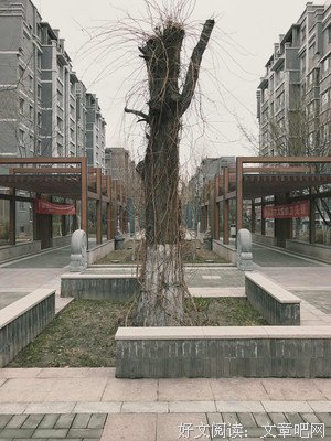和稀泥，学一下许文怀