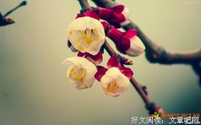 夜落花台﹌雨份飛″的优美句子