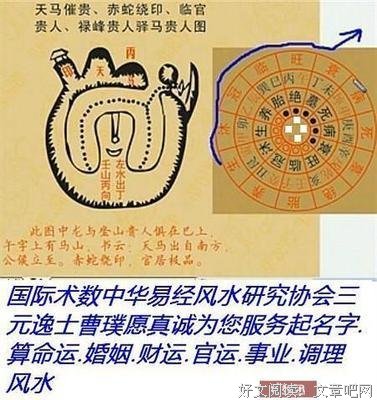 倚语