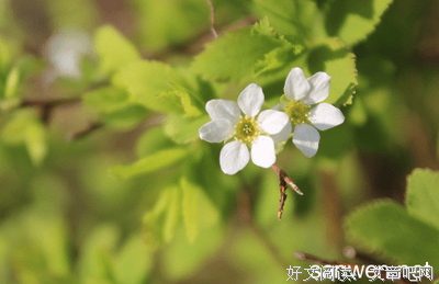 小文艺范名句欣赏