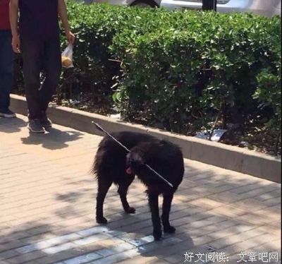 从医院出来的人，最懂得幸运。