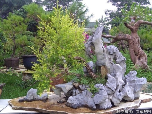 古风经典名句
