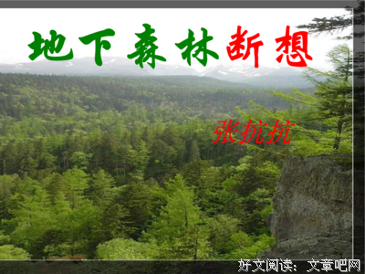 情不知所起一起水看界上多地下深句子