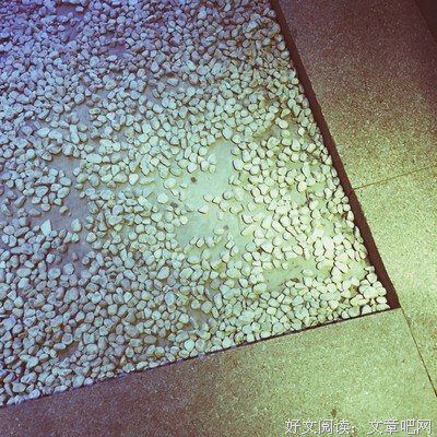 张晓晗名言大全