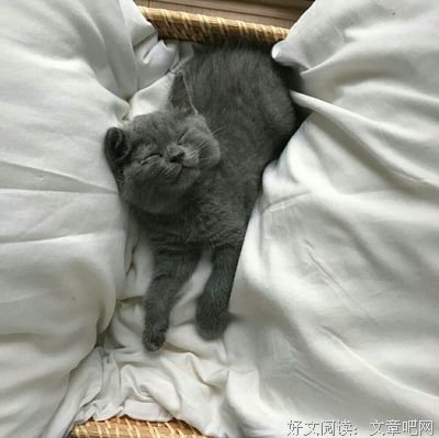 张芸欣名言