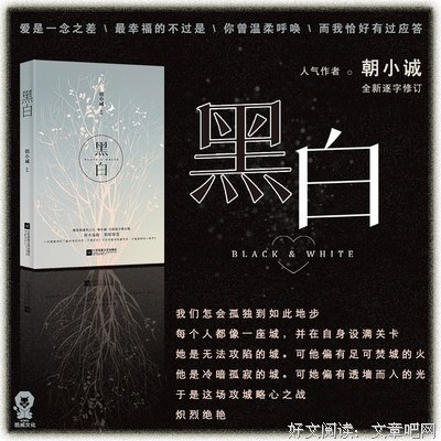 2019朝小诚名言