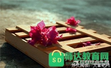 最全的《我爱你》名句欣赏