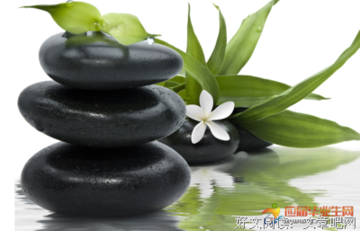 最全的《无爱纪》经典语录大全