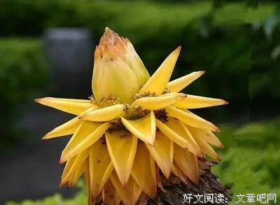 最经典的《法华经》经典名句大全
