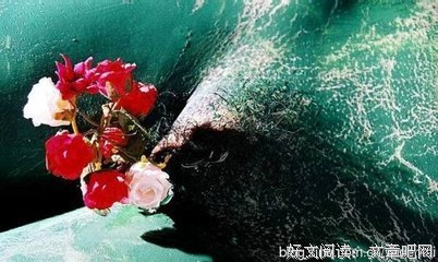 最经典的《清醒纪》经典语录