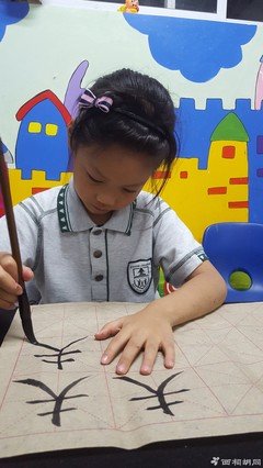 最新的《爱弥儿》佳句摘抄
