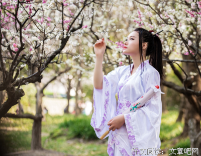 最经典的《花神传》小说句子