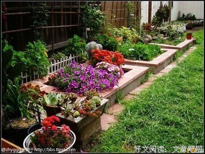 最新的《草草集》小说摘抄