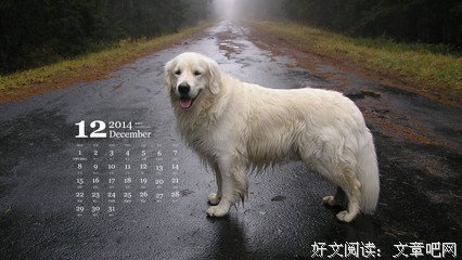 软体动物格言警句