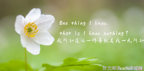 关于一句话的格言