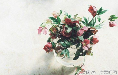 人生真当来所谓幸福，不痛苦气好是幸福。句子