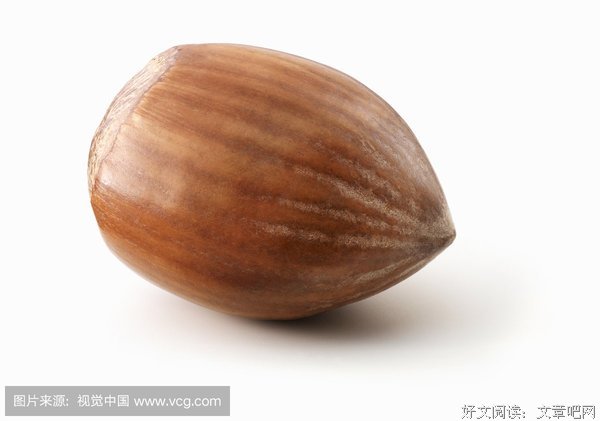 有关榛子壳名言大全