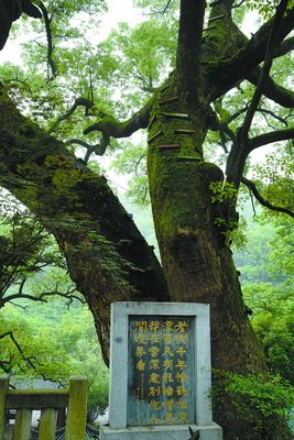 艾小图名人名言