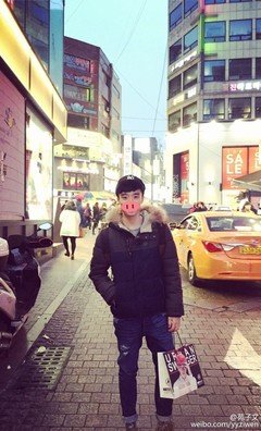 苑子文的名言