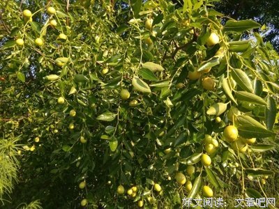 最经典的《七年欢喜》佳句摘抄