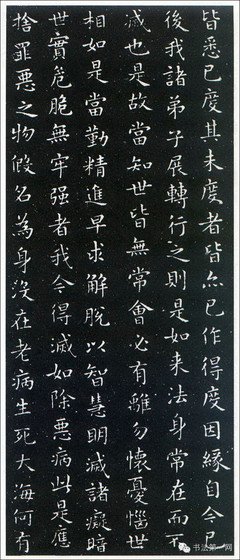 《佛遗教经》经典句子