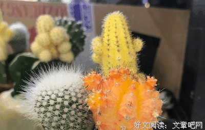 是我不孝顺还是我妈太奇葩?