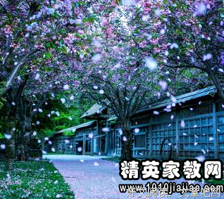 最新的《家庭教师》好段摘抄