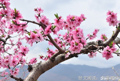 描写向远的经典句子