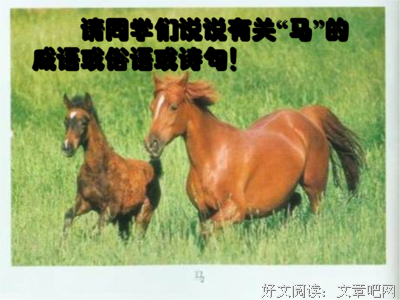 关于走马观花的语句