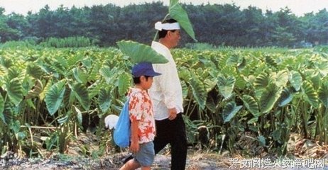 72岁北野武用200亿换自由：离婚最佳姿势就是各取所需
