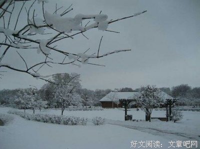淡好觉的句子