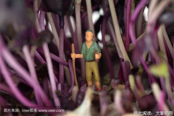 流浪，你得么出未知的为觉你得....句子