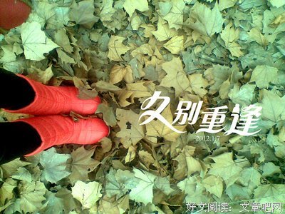 第军利爱的的优美句子