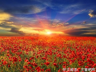 精地我么然鸦片经典名句