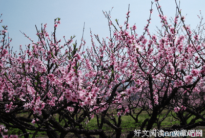 愿清风依旧吹拂好词好句