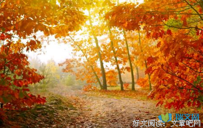 情不知所起的优美句子