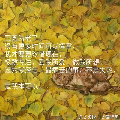 喜欢我所喜欢的，爱我所爱的句子