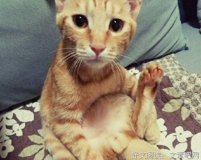 向男人要钱时，真心爱你的会这样做，建议女人都听听!