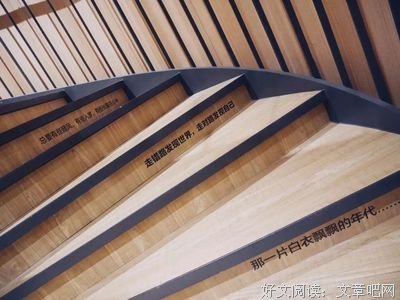关于高晓松名言