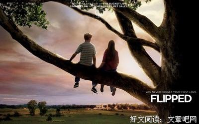 最经典的《怦然心动》小说书摘大全