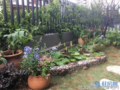 最新的《棠棣之华》经典的句子